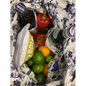 Reusable Market / Overnight Bag